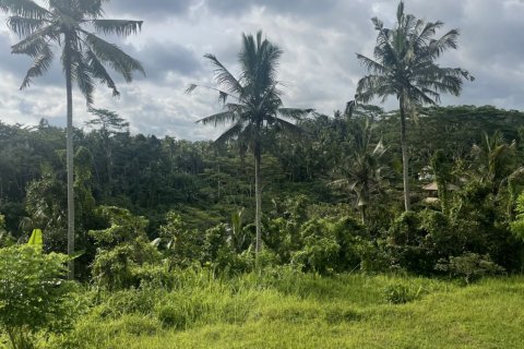 Land in Tampaksiring, Gianyar, Bali (4587) 4