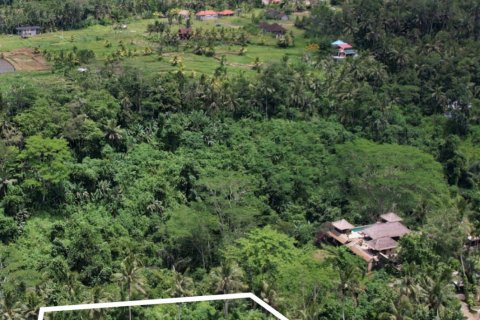Land in Tampaksiring, Gianyar, Bali (4587) 2