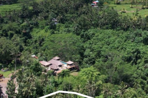 Land in Tampaksiring, Gianyar, Bali (4587) 3