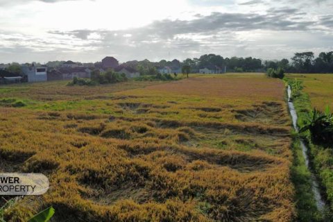 400m2 Land in Tabanan, Bali (13983) 17