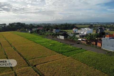 400m2 Land in Tabanan, Bali (13983) 23