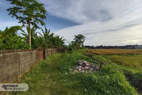400m2 Land in Tabanan, Bali (13983) 28