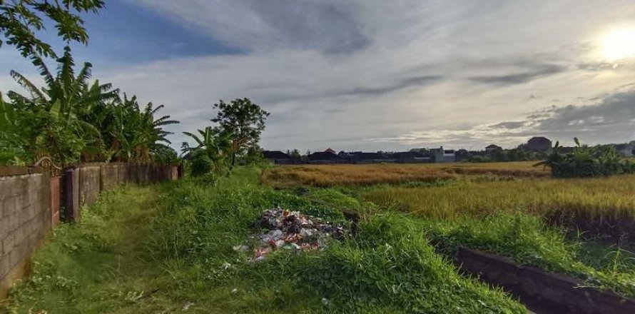 400m2 Land in Tabanan, Bali (13983)