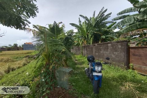 400m2 Land in Tabanan, Bali (13983) 9