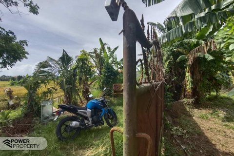 400m2 Land in Tabanan, Bali (13983) 2