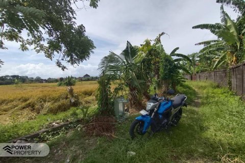 400m2 Land in Tabanan, Bali (13983) 10