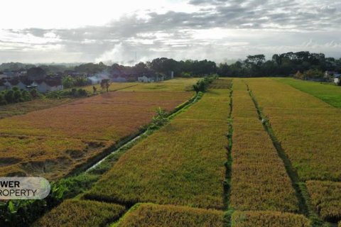 400m2 Land in Tabanan, Bali (13983) 21