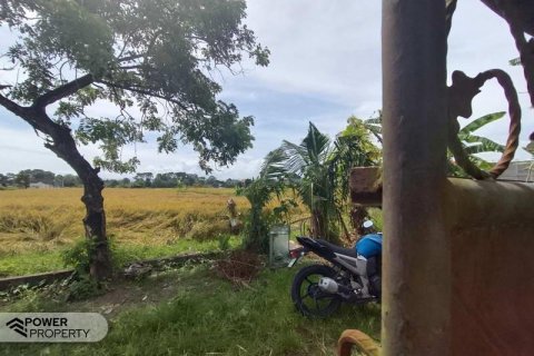 400m2 Land in Tabanan, Bali (13983) 3