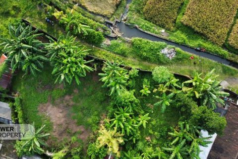 400m2 Land in Tabanan, Bali (13983) 19