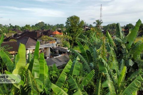 400m2 Land in Tabanan, Bali (13983) 16