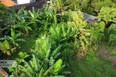 400m2 Land in Tabanan, Bali (13983) 15