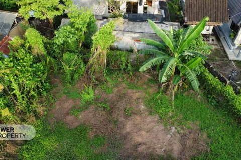 400m2 Land in Tabanan, Bali (13983) 18