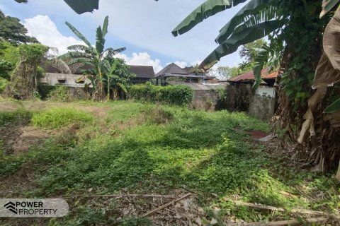 400m2 Land in Tabanan, Bali (13983) 6