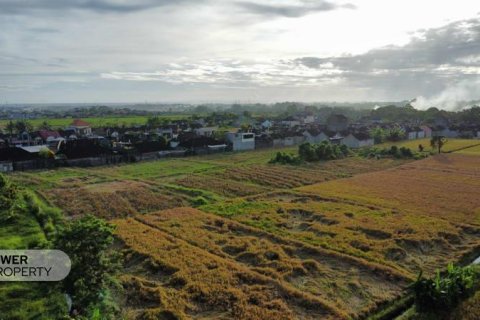 400m2 Land in Tabanan, Bali (13983) 22