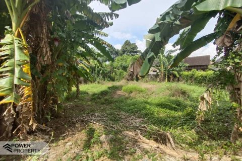 400m2 Land in Tabanan, Bali (13983) 7