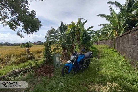 400m2 Land in Tabanan, Bali (13983) 12