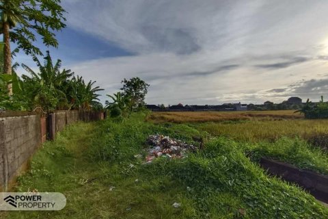 400m2 Land in Tabanan, Bali (13983) 26