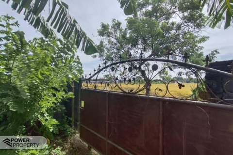 400m2 Land in Tabanan, Bali (13983) 4