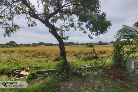 400m2 Land in Tabanan, Bali (13983) 11