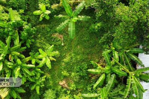400m2 Land in Tabanan, Bali (13983) 24