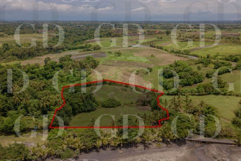 Land in East Selemadeg, Tabanan, Bali (15667) 3
