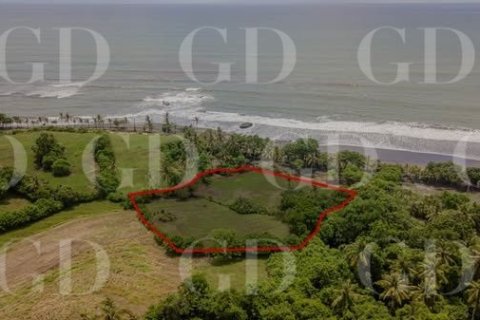 Land in East Selemadeg, Tabanan, Bali (15667)