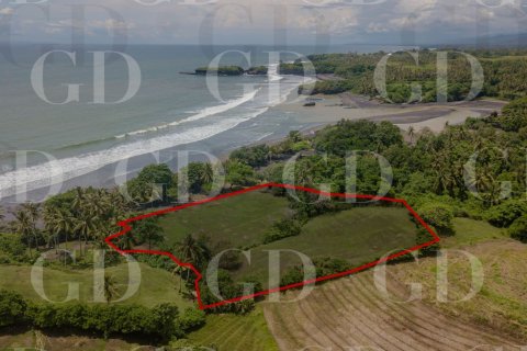 Land in East Selemadeg, Tabanan, Bali (15667) 4