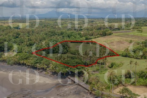 Land in East Selemadeg, Tabanan, Bali (15667) 6