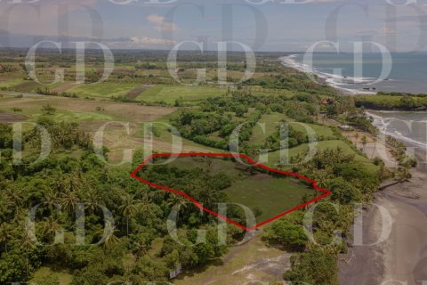 Land in East Selemadeg, Tabanan, Bali (15667) 5