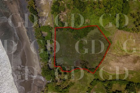 Land in East Selemadeg, Tabanan, Bali (15667) 2