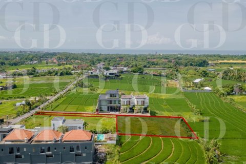 Land in Beraban, Kediri, Tabanan, Bali (15668) 3