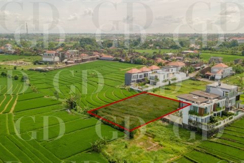 Land in Beraban, Kediri, Tabanan, Bali (15668) 2