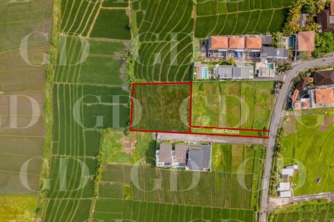 Land in Beraban, Kediri, Tabanan, Bali (15668)