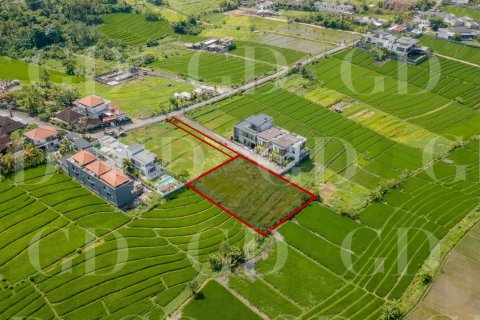 Land in Beraban, Kediri, Tabanan, Bali (15668) 4