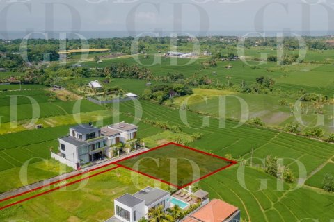 Land in Beraban, Kediri, Tabanan, Bali (15668) 5