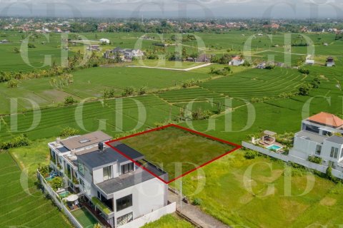 Land in Beraban, Kediri, Tabanan, Bali (15668) 6