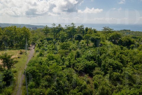 Land in Pecatu, Badung, Bali (15664) 3