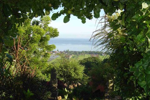 Вилла с 4 спальнями в Булеленг,  (9985) 22