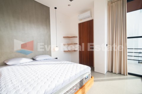 2 bedrooms Villa in Pererenan, Mengwi, Badung, Bali (2369) 23