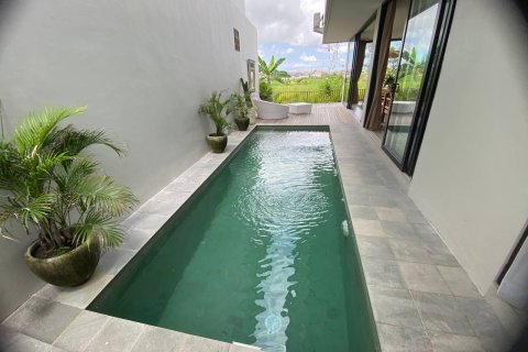 4 bedrooms Villa in Canggu, Badung, Bali (15455) 7