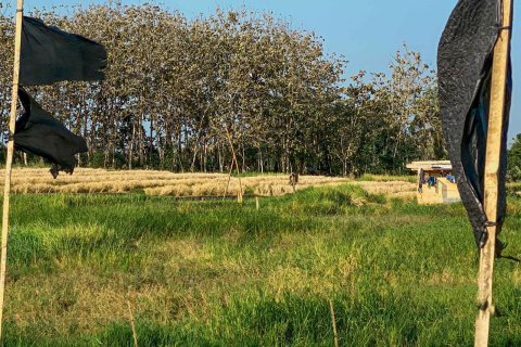 Land in Cemagi, Mengwi, Badung, Bali (15598) 4