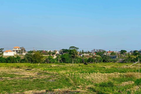 Land in Cemagi, Mengwi, Badung, Bali (15598) 5