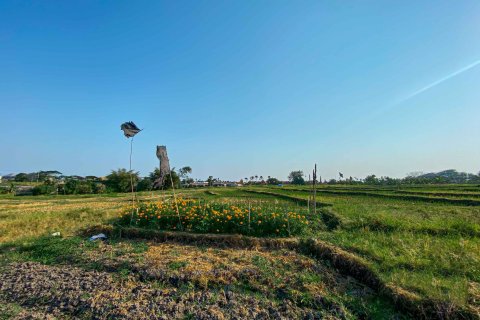Land in Cemagi, Mengwi, Badung, Bali (15598) 3