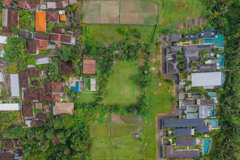 Land in Ubud, Gianyar, Bali (15599) 23