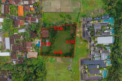 Land in Ubud, Gianyar, Bali (15599) 2