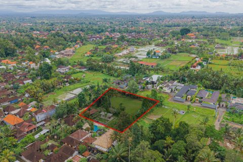 Land in Ubud, Gianyar, Bali (15599) 3