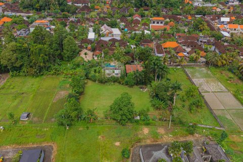Land in Ubud, Gianyar, Bali (15599) 19
