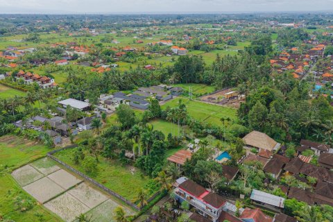Land in Ubud, Gianyar, Bali (15599) 14