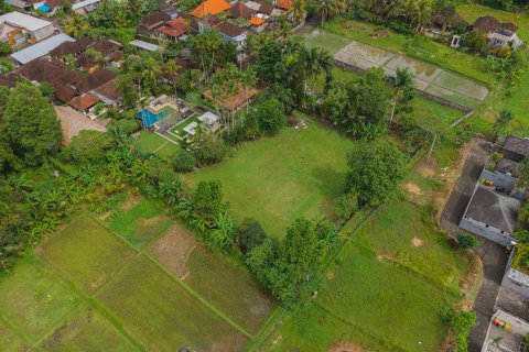 Land in Ubud, Gianyar, Bali (15599) 22
