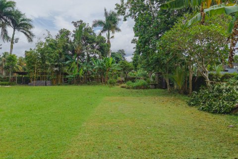 Land in Ubud, Gianyar, Bali (15599) 5